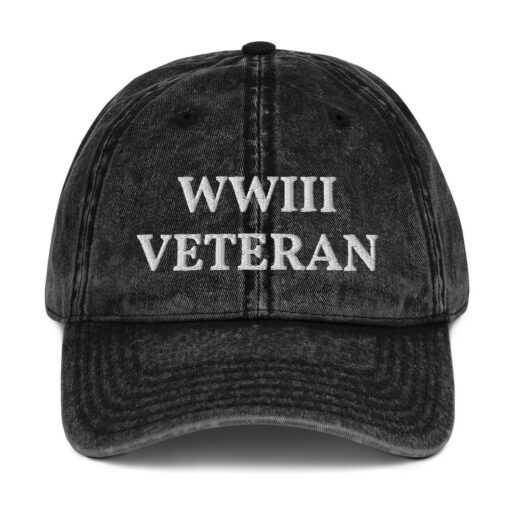 World War 3 Veteran Funny Hat