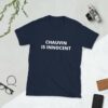 Derek Chauvin Is Innocent T-Shirt